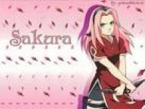 sakura